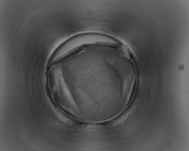 X0000092261077200710051315