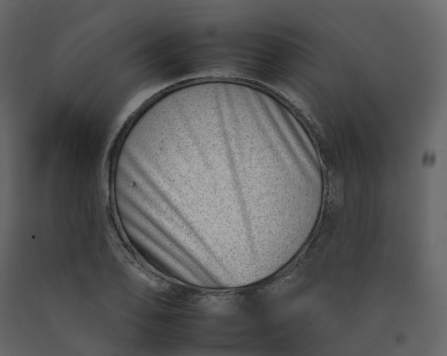 X0000092261078200710051315