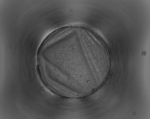 X0000092261079200710051314