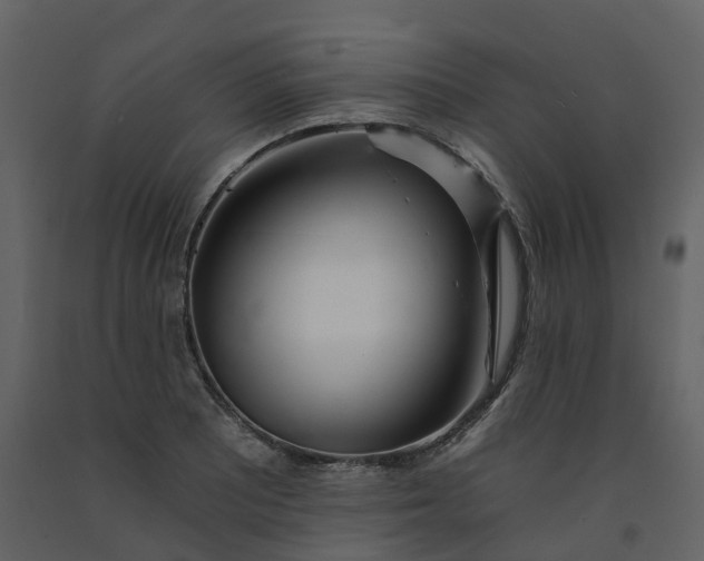 X0000092261081200710051314