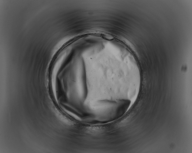 X0000092261082200710051314