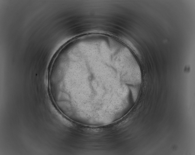 X0000092261084200710051314