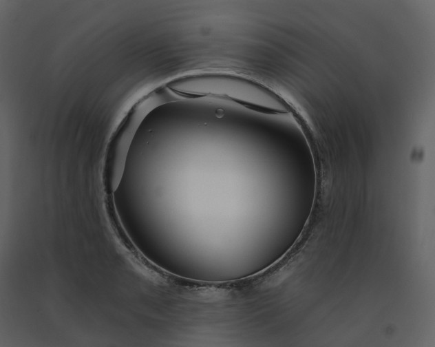 X0000092261085200710051314