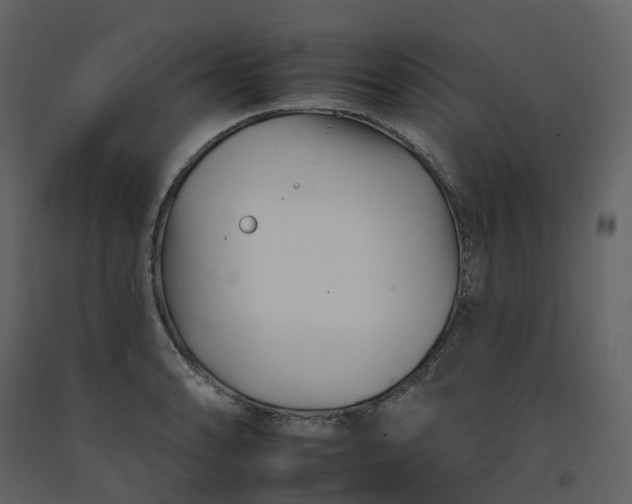 X0000092261086200710051314