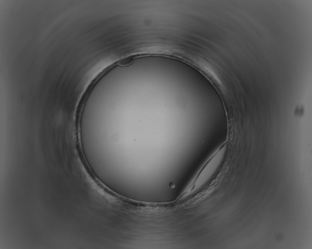 X0000092261087200710051314