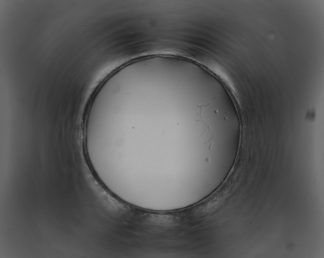 X0000092261088200710051314