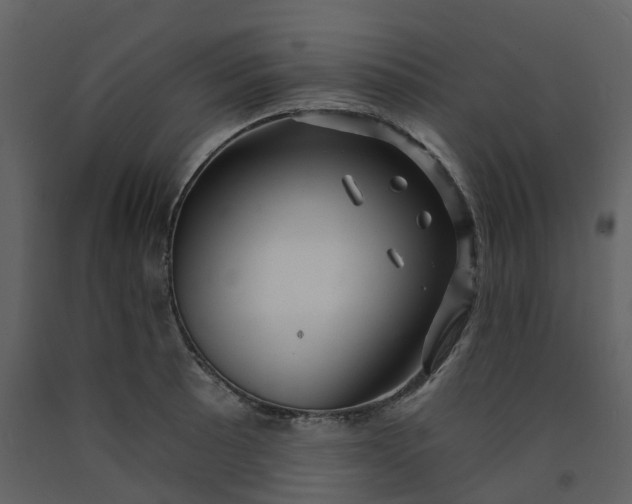 X0000092261089200710051314