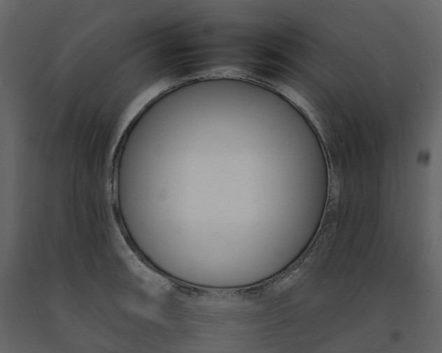 X0000092261090200710051314