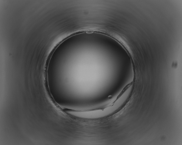 X0000092261093200710051314