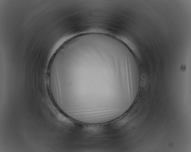 X0000092261094200710051314