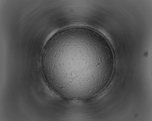 X0000092261097200710051314