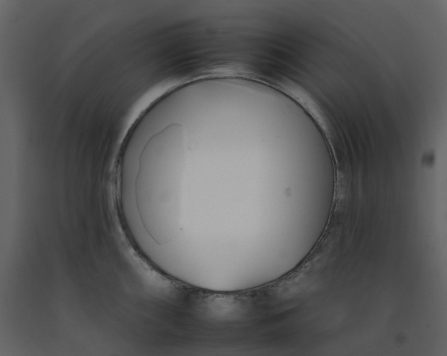 X0000092261098200710051314