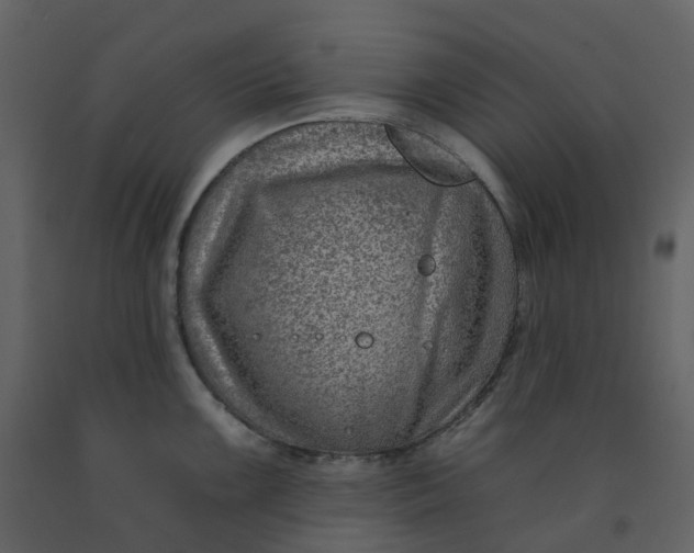 X0000092261099200710051314