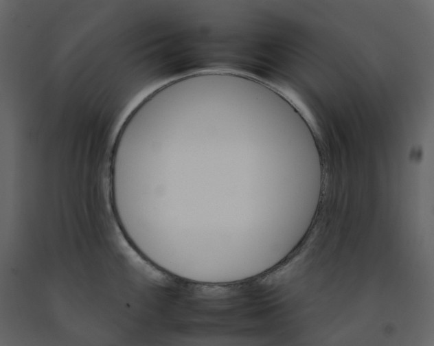 X0000092261100200710051314