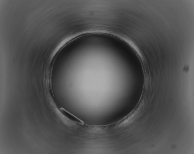 X0000092261101200710051314