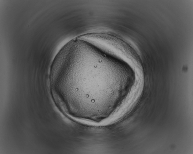 X0000092261103200710051314