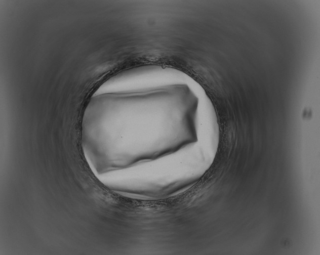 X0000092261105200710051314