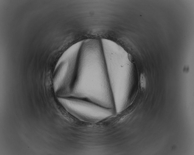 X0000092261107200710051314