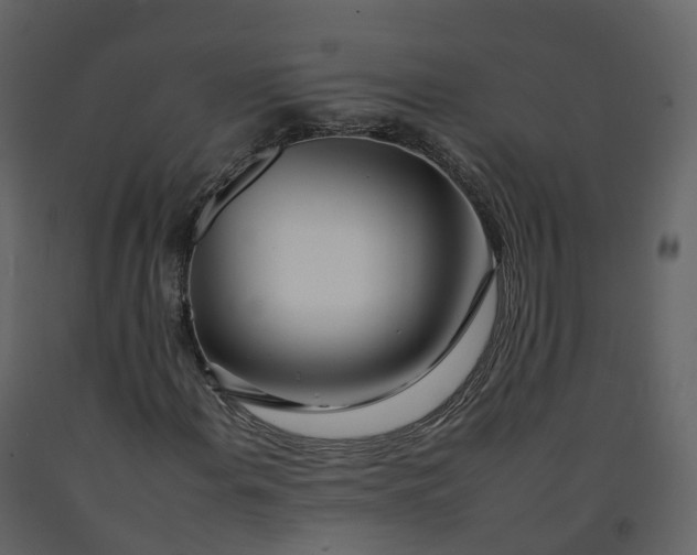 X0000092261108200710051314