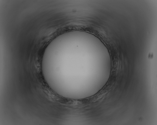 X0000092261109200710051314