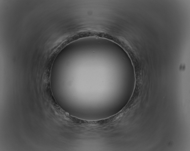 X0000092261110200710051314