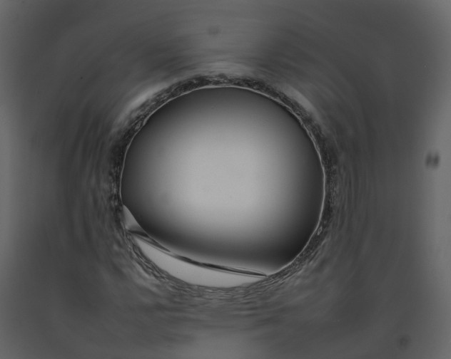 X0000092261112200710051314