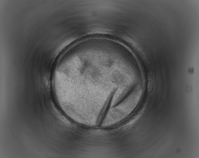 X0000092261113200710051314