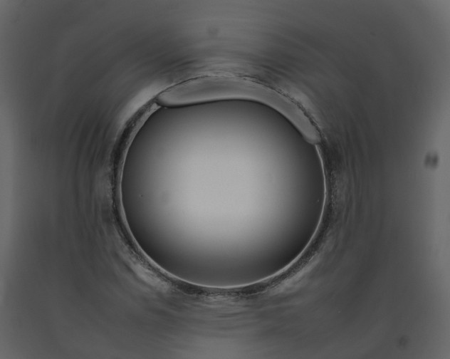 X0000092261114200710051314