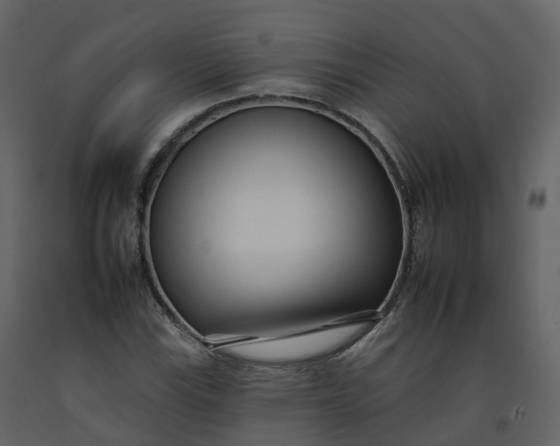 X0000092261115200710051314