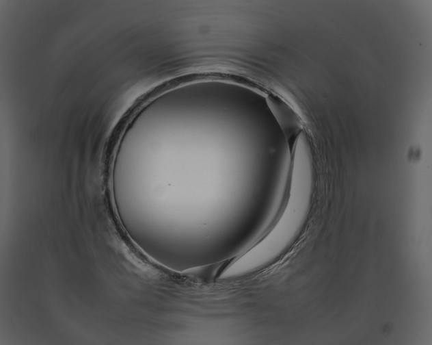 X0000092261116200710051314