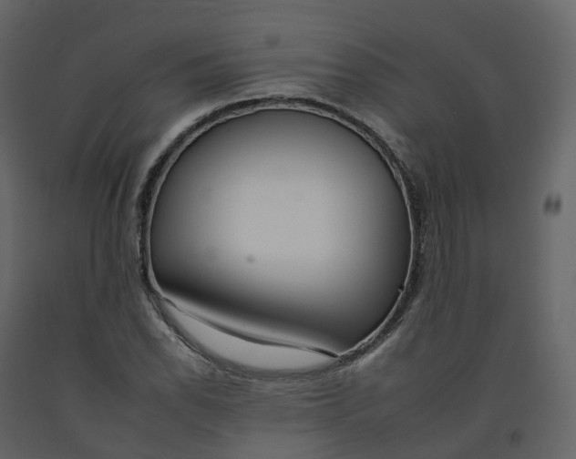 X0000092261118200710051314