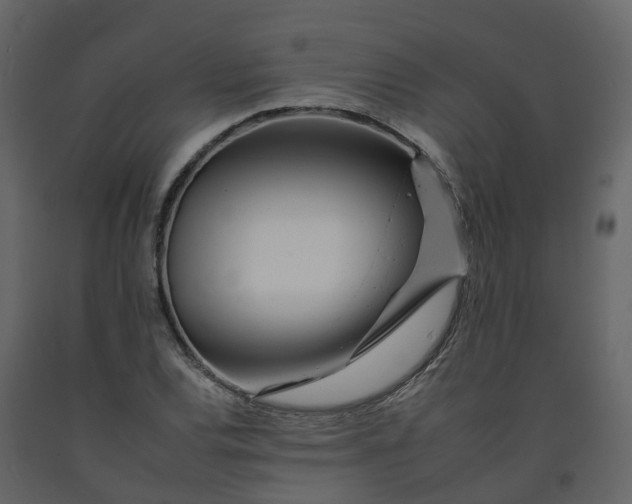 X0000092261120200710051314