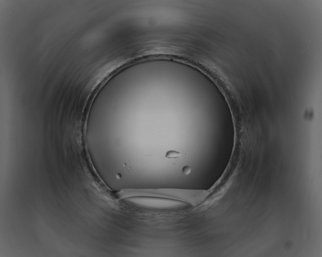 X0000092261121200710051314