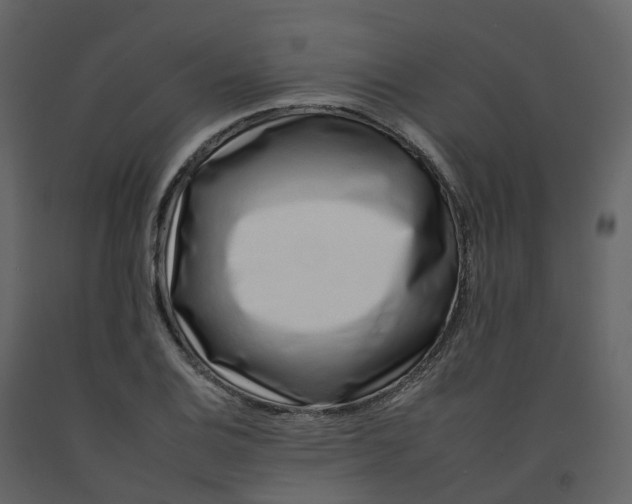 X0000092261124200710051314