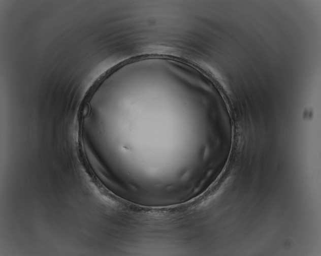 X0000092261125200710051314