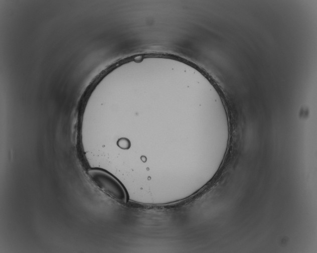 X0000092261126200710051314