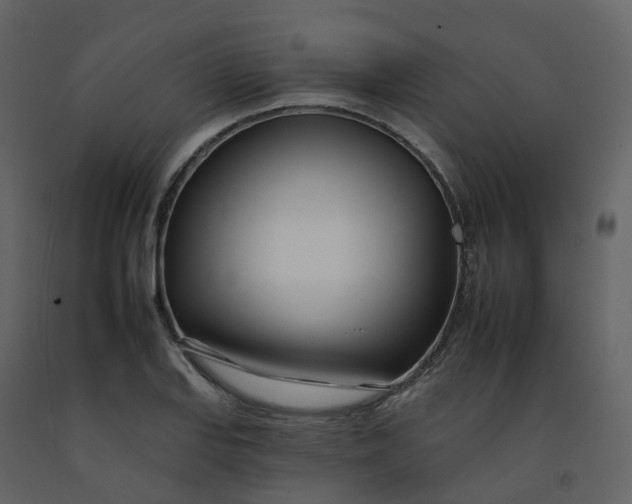 X0000092261127200710051314