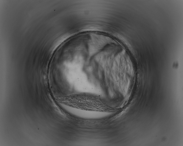 X0000092261129200710051314