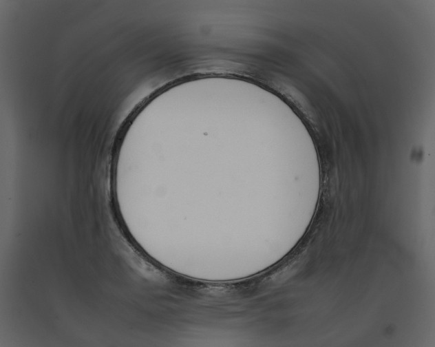 X0000092261130200710051314