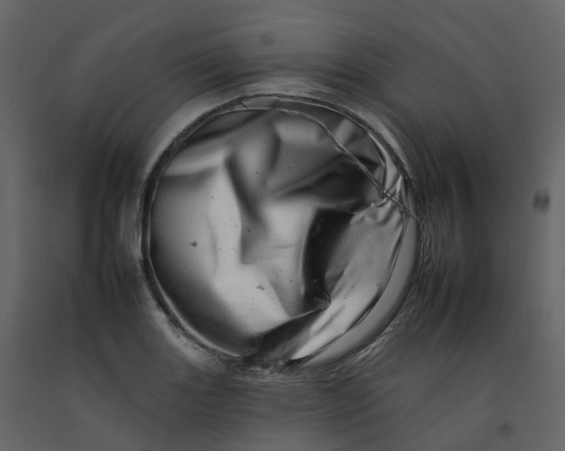 X0000092261131200710051314