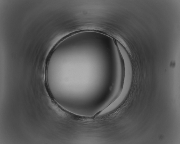 X0000092261132200710051314