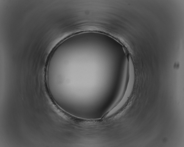 X0000092261134200710051314