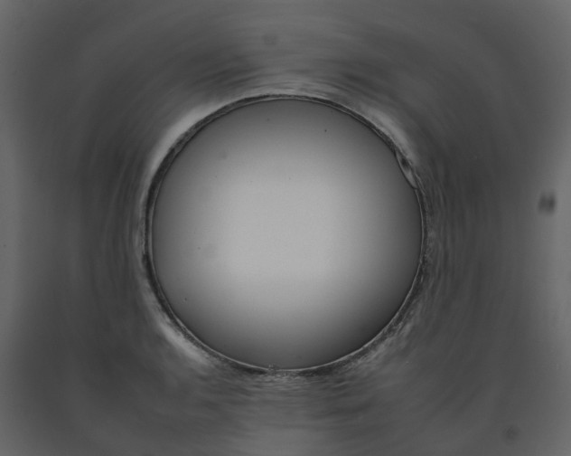 X0000092261136200710051314