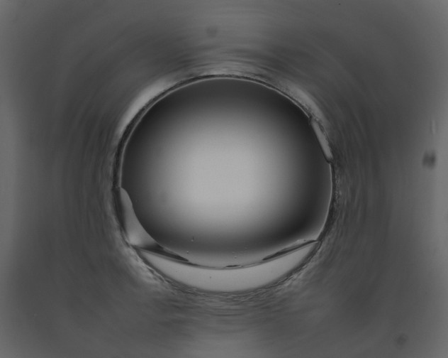 X0000092261138200710051314