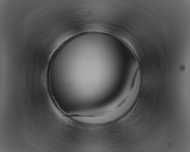 X0000092261139200710051314