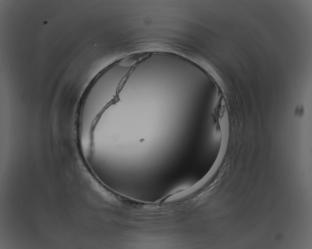 X0000092261142200710051314