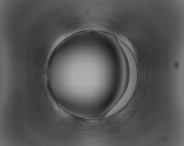 X0000092261144200710051314