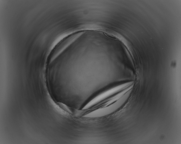 X0000092261147200710051314