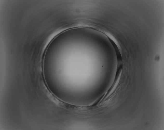 X0000092261148200710051314