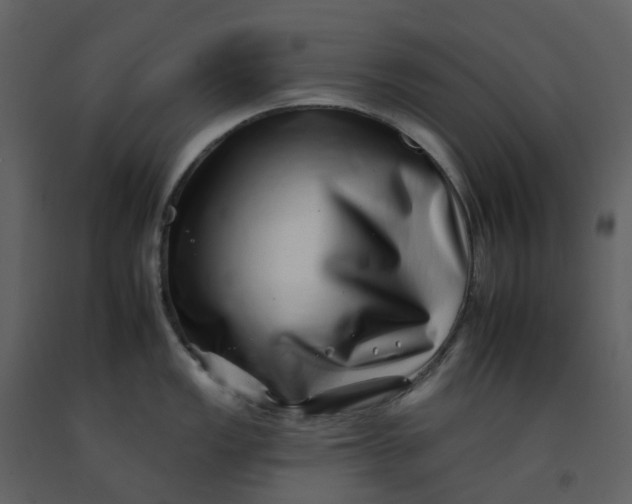 X0000092261149200710051314